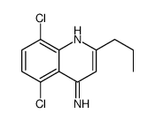 4-Amino-5,8-dichloro-2-propylquinoline picture