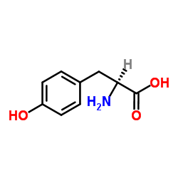 55520-40-6 structure