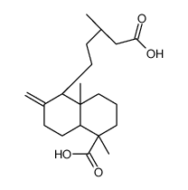 dihydroagathic acid Structure