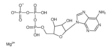 magnesium(+2) cation结构式