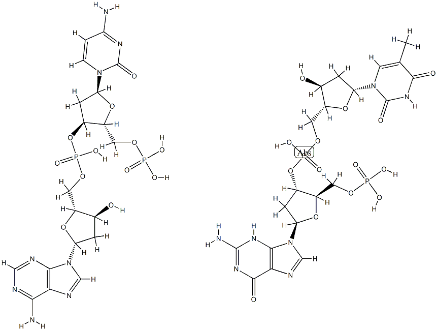 poly(d(G-T).d(C-A)) Structure