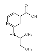 2-(sec-Butylamino)isonicotinic acid picture