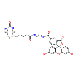 BIOTIN-4-FLUORESCEIN Structure