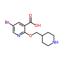 5-Bromo-2-(4-piperidinylmethoxy)nicotinic acid结构式