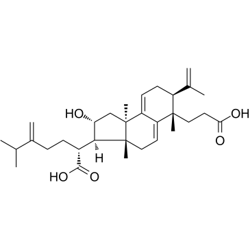 茯苓新酸A图片