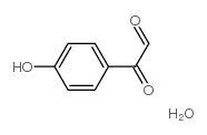 HPG Protein Modifier picture