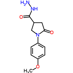 1-(4-Methoxyphenyl)-5-oxopyrrolidine-3-carbohydrazide图片