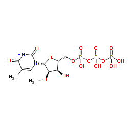 5-Methyl-2'-O-methyluridine 5'-(tetrahydrogen triphosphate)结构式