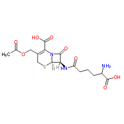 头孢菌素 C结构式