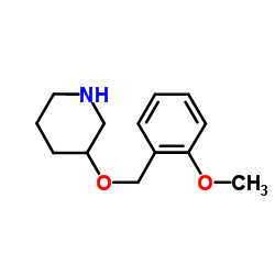 3-[(2-Methoxybenzyl)oxy]piperidine Structure