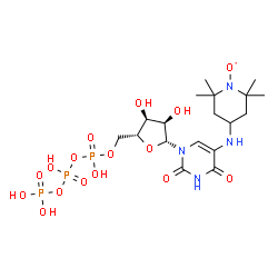 5-amino-(2,2,6,6-tetramethylpiperidine-N-oxyl)uridine 5'-triphosphate picture