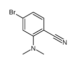 4-bromo-2-(dimethylamino)benzonitrile picture