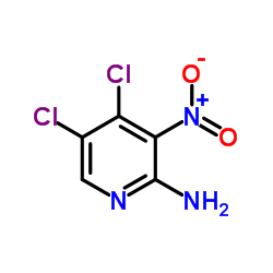 4,5-Dichloro-3-nitro-2-pyridinamine picture