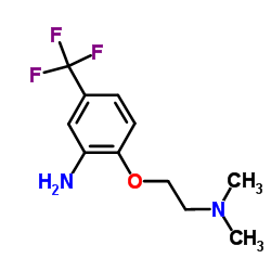 2-[2-(DIMETHYLAMINO)ETHOXY]-5-(TRIFLUOROMETHYL)-ANILINE Structure