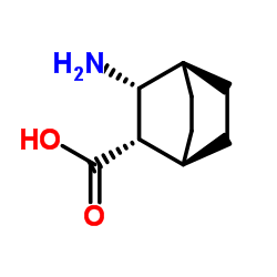 (1S,2S,3R,4R)-3-Aminobicyclo[2.2.2]octane-2-carboxylic acid结构式