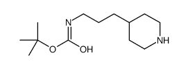 3-(哌啶-4-基)丙基氨基甲酸叔丁酯图片