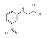 Glycine,N-(3-nitrophenyl)-结构式