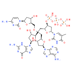 deoxy(thymidylic-adenylic-cytidylic-guanosine) picture