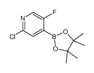 2-Chloro-5-fluoropyridine-4-boronic acid pinacol ester picture