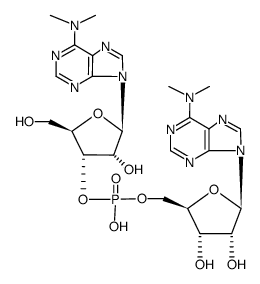 N(6),N(6)-dimethyladenylyl(3'-5')N(6),N(6)-dimethyladenosine结构式