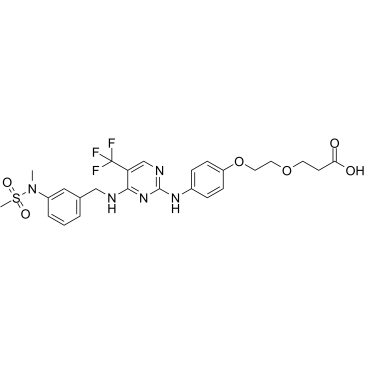 FAK ligand-Linker Conjugate 1 Structure