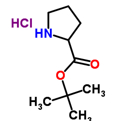 Pyrrolidine-2-carboxylic acid tert-butyl ester HCl Structure