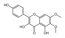 Eupalitin picture