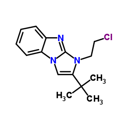 2-tert-Butyl-1-(2-chloroethyl)-1H-imidazo[1,2-a]benzimidazole结构式