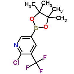 2-氯-3-三氟甲基吡啶-5-硼酸频哪醇酯结构式