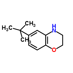 6-(2-Methyl-2-propanyl)-3,4-dihydro-2H-1,4-benzoxazine structure