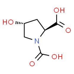 1,2-Pyrrolidinedicarboxylicacid,4-hydroxy-,(2S-trans)-(9CI) structure