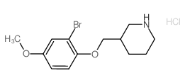 2-Bromo-4-methoxyphenyl 3-piperidinylmethyl ether hydrochloride Structure