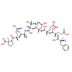 (Gln⁵³)-Connexin 37 (51-58) (human, mouse, rat)结构式