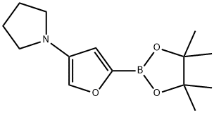 4-(Pyrrolidino)furan-2-boronic acid pinacol ester picture