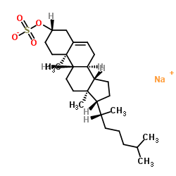 Cholesterol 3-Sulfate Sodium Salt picture