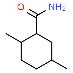 Cyclohexanecarboxamide, 2,5-dimethyl- (9CI)结构式