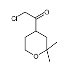 Ethanone, 2-chloro-1-(tetrahydro-2,2-dimethyl-2H-pyran-4-yl)- (9CI) Structure