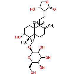 穿心莲内酯苷图片