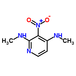 N2,N4-dimethyl-3-nitropyridine-2,4-diamine structure