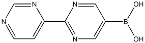 [2,4'-bipyrimidin]-5-ylboronic acid Structure