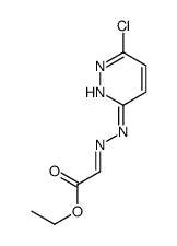 69579-06-2 structure