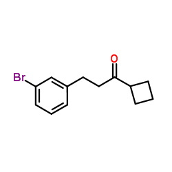 3-(3-Bromophenyl)-1-cyclobutyl-1-propanone picture