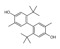 5-tert-butyl-4-(2-tert-butyl-4-hydroxy-5-methylphenyl)-2-methylphenol Structure