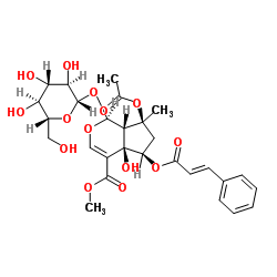 6-O-trans-Cinnamoylphlorigidoside B结构式