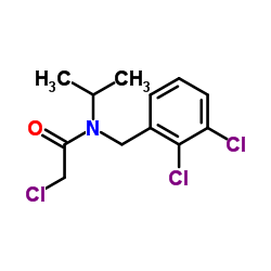 2-Chloro-N-(2,3-dichlorobenzyl)-N-isopropylacetamide Structure