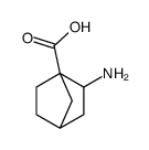 Bicyclo[2.2.1]heptane-1-carboxylic acid, 2-amino- (9CI) Structure