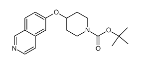 918490-55-8 structure