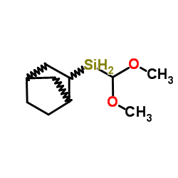 2-(dimethoxymethylsilyl)-bicyclo[2,2,1]heptanes picture