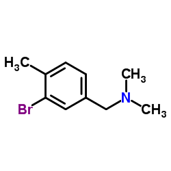 Dimethyl[(3-Bromo-4-methylphenyl)methyl]amine structure