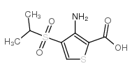 3-氨基-4-(异丙磺酰)噻吩-2-甲酸结构式